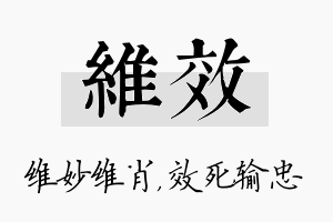 维效名字的寓意及含义