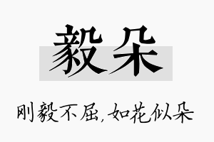 毅朵名字的寓意及含义