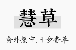 慧草名字的寓意及含义