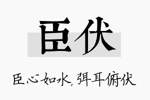 臣伏名字的寓意及含义