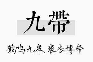 九带名字的寓意及含义