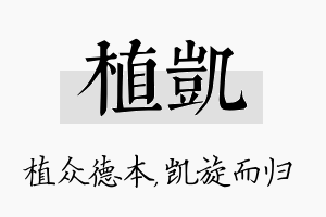 植凯名字的寓意及含义