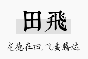 田飞名字的寓意及含义