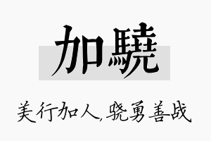 加骁名字的寓意及含义