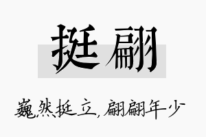 挺翩名字的寓意及含义