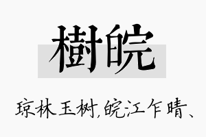 树皖名字的寓意及含义