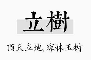 立树名字的寓意及含义