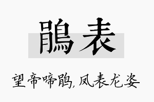 鹃表名字的寓意及含义