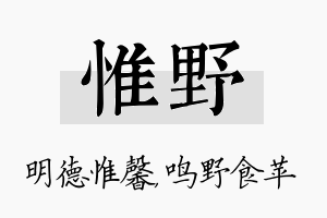 惟野名字的寓意及含义