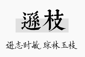 逊枝名字的寓意及含义