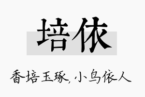 培依名字的寓意及含义