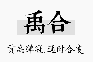 禹合名字的寓意及含义