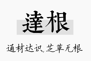 达根名字的寓意及含义