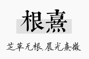 根熹名字的寓意及含义