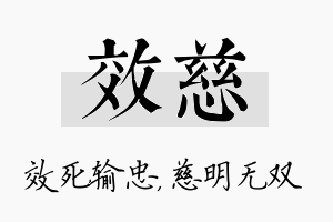 效慈名字的寓意及含义