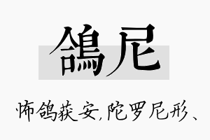 鸽尼名字的寓意及含义