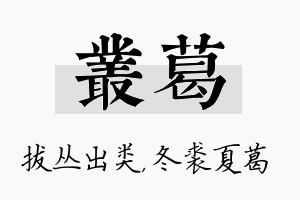 丛葛名字的寓意及含义