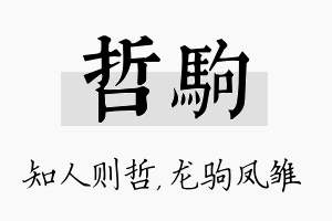 哲驹名字的寓意及含义