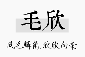 毛欣名字的寓意及含义