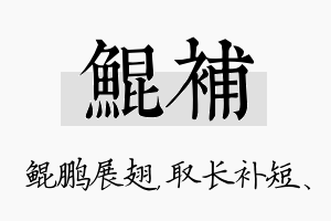 鲲补名字的寓意及含义