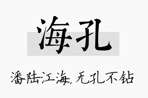 海孔名字的寓意及含义