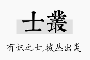 士丛名字的寓意及含义