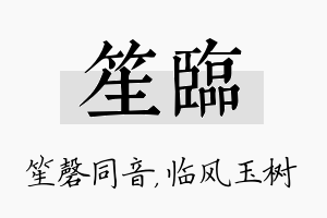 笙临名字的寓意及含义