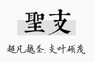 圣支名字的寓意及含义