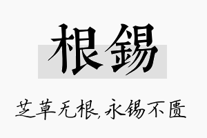 根锡名字的寓意及含义