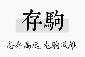 存驹名字的寓意及含义