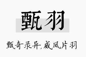 甄羽名字的寓意及含义