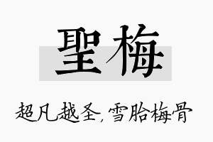 圣梅名字的寓意及含义