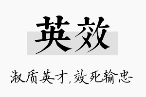 英效名字的寓意及含义