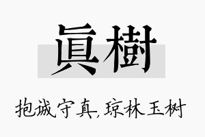 真树名字的寓意及含义