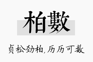 柏数名字的寓意及含义