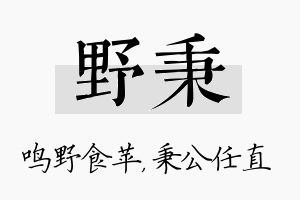 野秉名字的寓意及含义