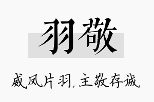 羽敬名字的寓意及含义