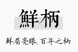 鲜柄名字的寓意及含义