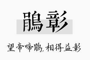 鹃彰名字的寓意及含义