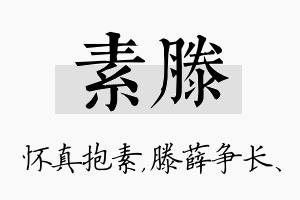 素滕名字的寓意及含义