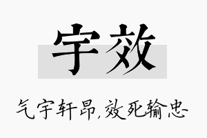 宇效名字的寓意及含义