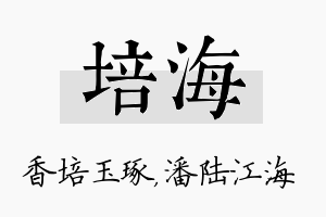 培海名字的寓意及含义