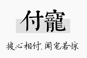 付宠名字的寓意及含义