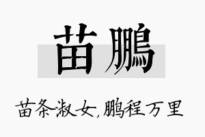 苗鹏名字的寓意及含义