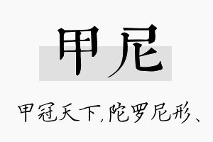 甲尼名字的寓意及含义