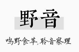 野音名字的寓意及含义