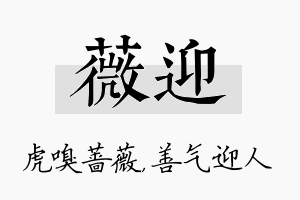 薇迎名字的寓意及含义