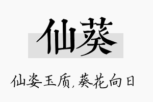 仙葵名字的寓意及含义