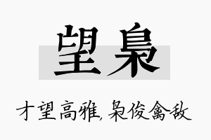 望枭名字的寓意及含义