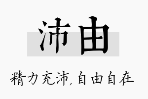 沛由名字的寓意及含义